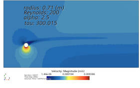 Velocity and vorticity fields